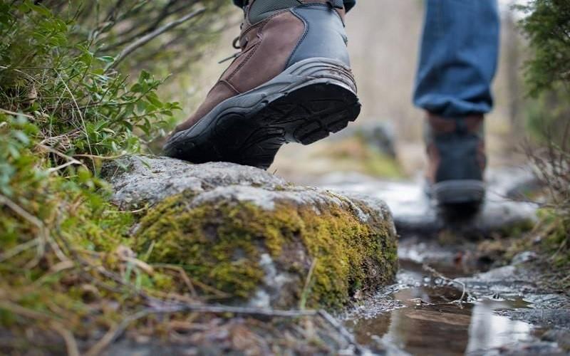 Choose the Best Hiking Boots image